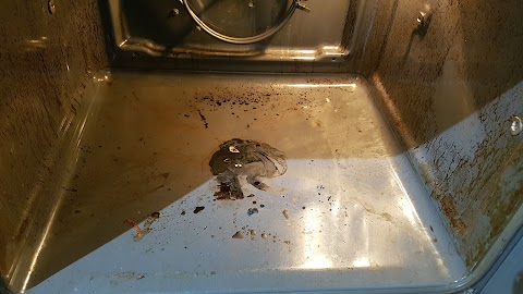 Mr-O oven cleaning