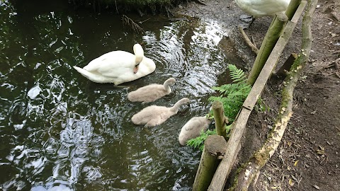 Keg Pool, Etherow