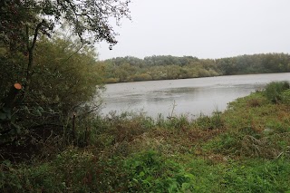 Sandbach Flash SSSi site