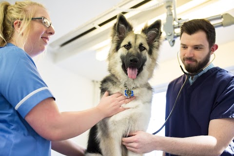 Lordswood Veterinary Surgery