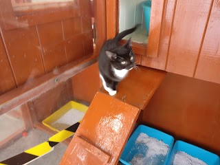 Bowlers Boarding Cattery