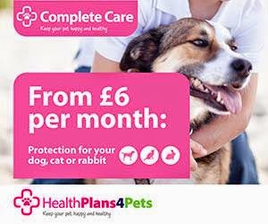 Vets4Pets - Altrincham