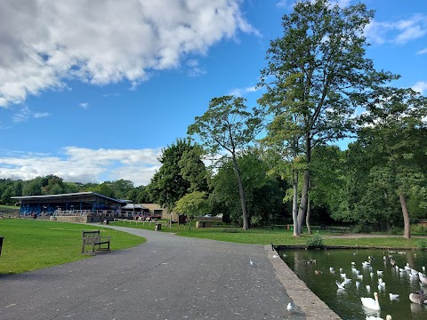 Coffee Culture In The Park