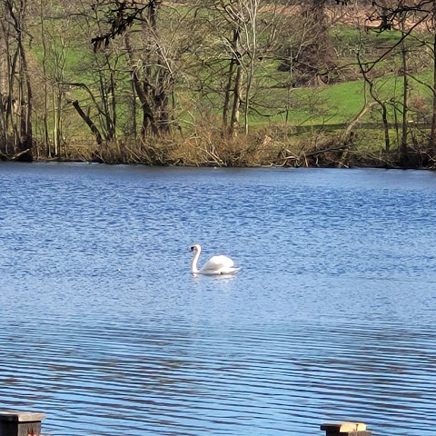 The Boat House