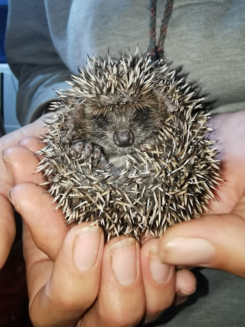 Hallswood Animal Sanctuary