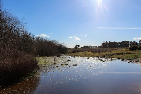 Deerleap car park