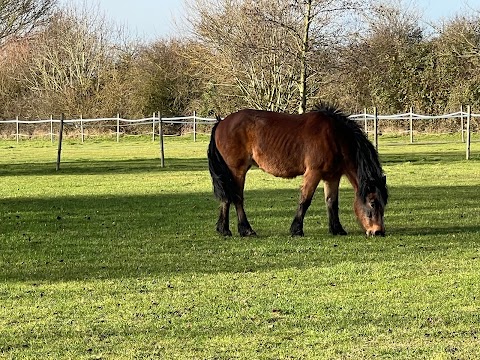 Vet3 Equine Care