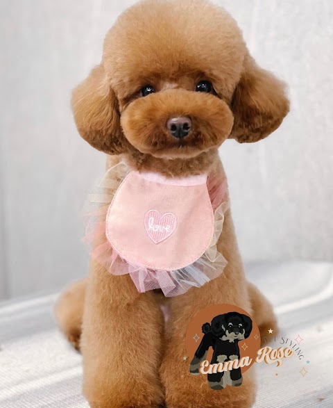 Emma Rose Pet Styling Professional Dog Groomer