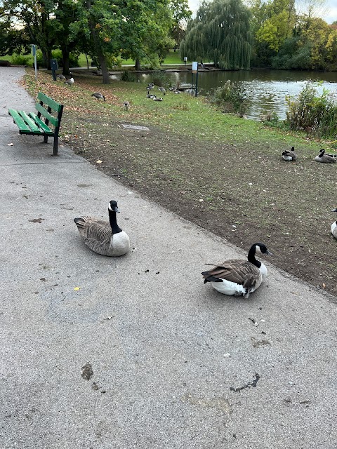 Sandall Park Playground