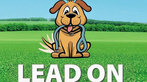 Lead On dog walking & pet services