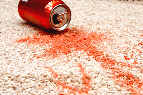 Norfolk Carpet Cleaning Services