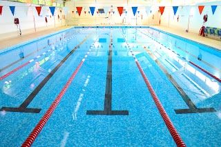 Nautilus Swimming