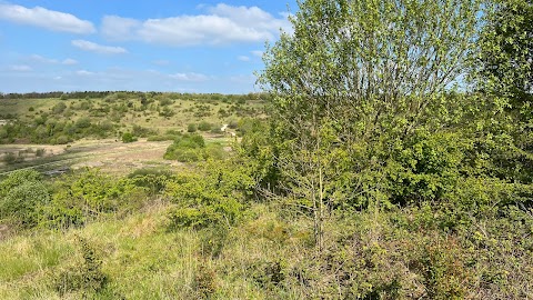 Silverdale Country Park