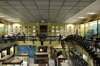 University of Aberdeen Zoology Museum