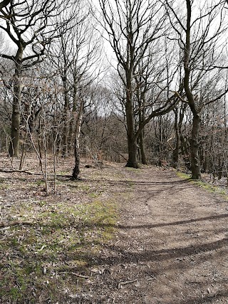 Treeton Dyke