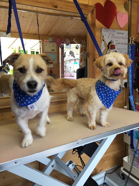 Witwoo Dog Groomers