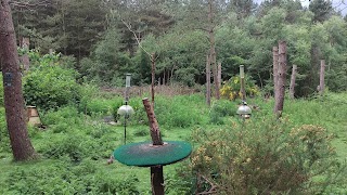 Center Parcs Wildlife Sanctuary