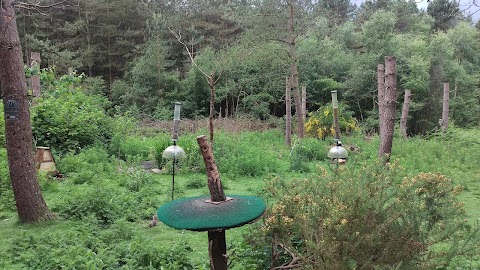 Center Parcs Wildlife Sanctuary