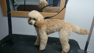 Flawless Fur dog grooming