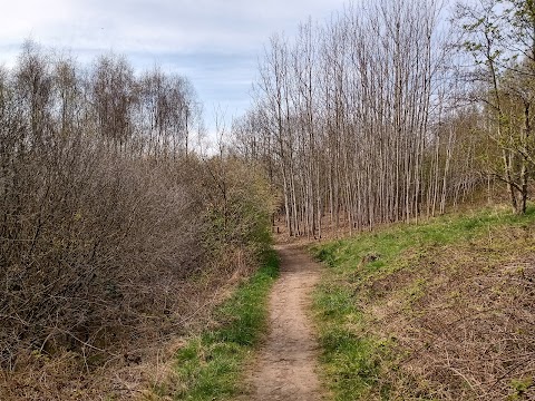 Walton Colliery Nature Park