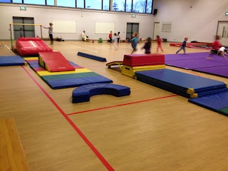 Gymstars Gymnastics