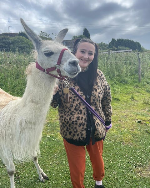 Calderbrook Alpacas