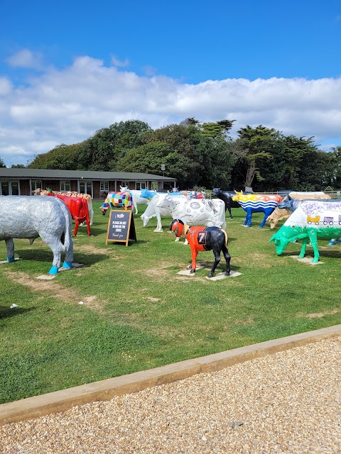 Isle of Wight Aqua Park