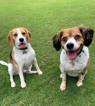 Brookfields Boarding and Canine Care Centre