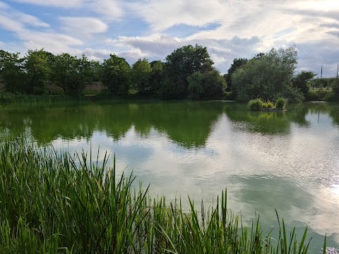 Wilford Meadow - Wildlife Area