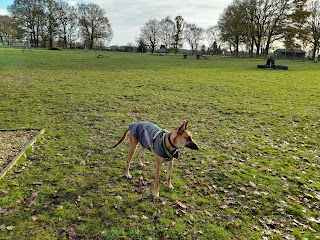 Elementary Dog Park