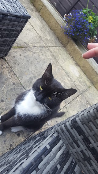 Threethorne Boarding Cattery