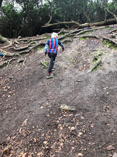 Forest Kindergarten Sevenoaks