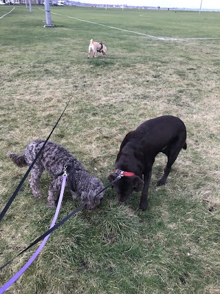 Scottish Dog Walkers