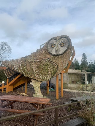 Scottish Owl Centre