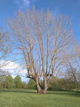 Lake View Park