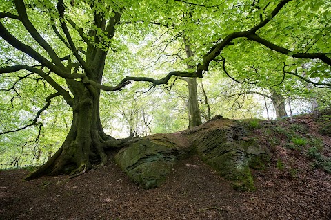 Greenway Bank Country Park