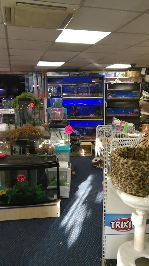 Sunderlands Pets & Aquatics - Tropical Fish