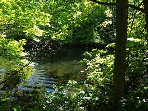 Farnley Hall Fish Pond