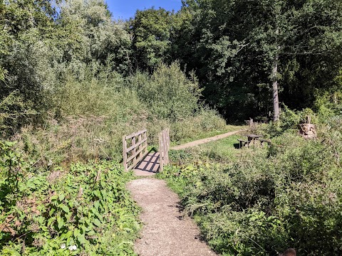 Hardwick Park ( Ponds )