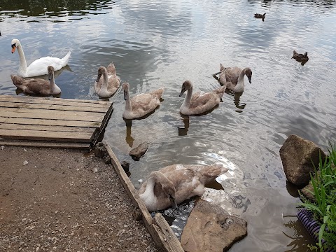 Chorlton Water Park