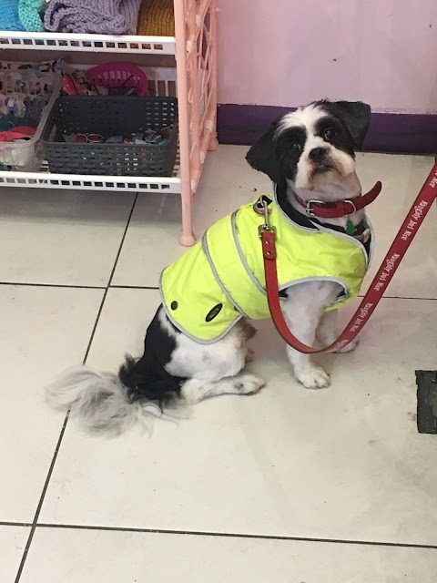 Creature Comforts Grooming Parlour