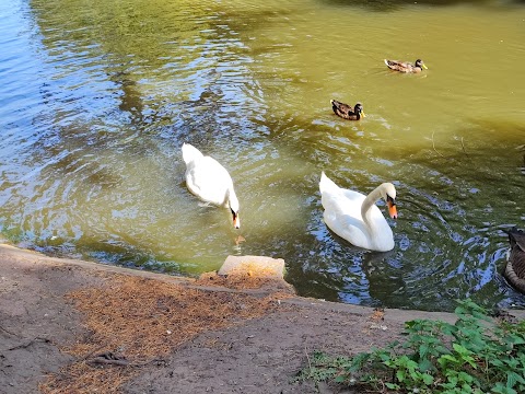 Birkenhead Park Visitor Centre