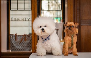 LONDON DOG GROOMING CO@LIBERTY