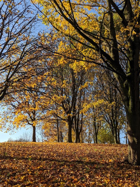 Bass' Recreation Ground