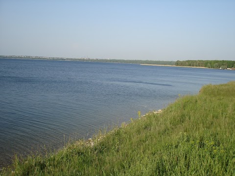 Карачунівський ліс