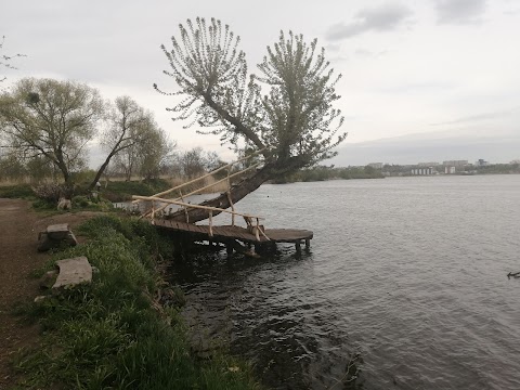 Басівкутівське городище