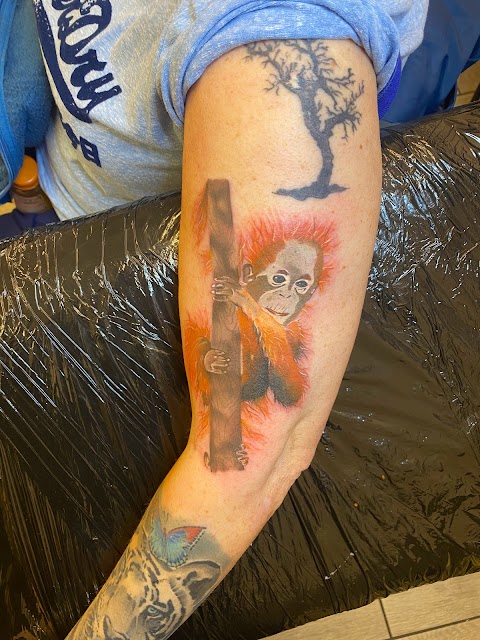 Wild Catz Tattoo