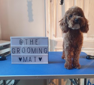 The Grooming Mat