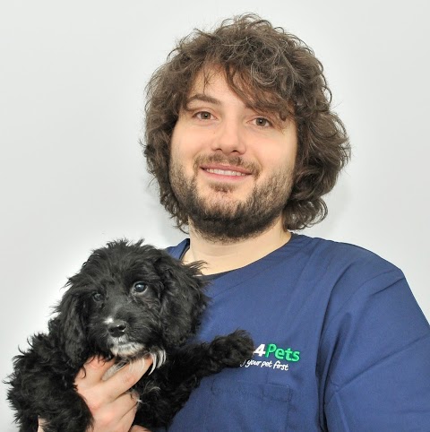 Vets4Pets - Solihull