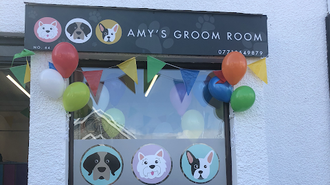 Amy's Groom Room